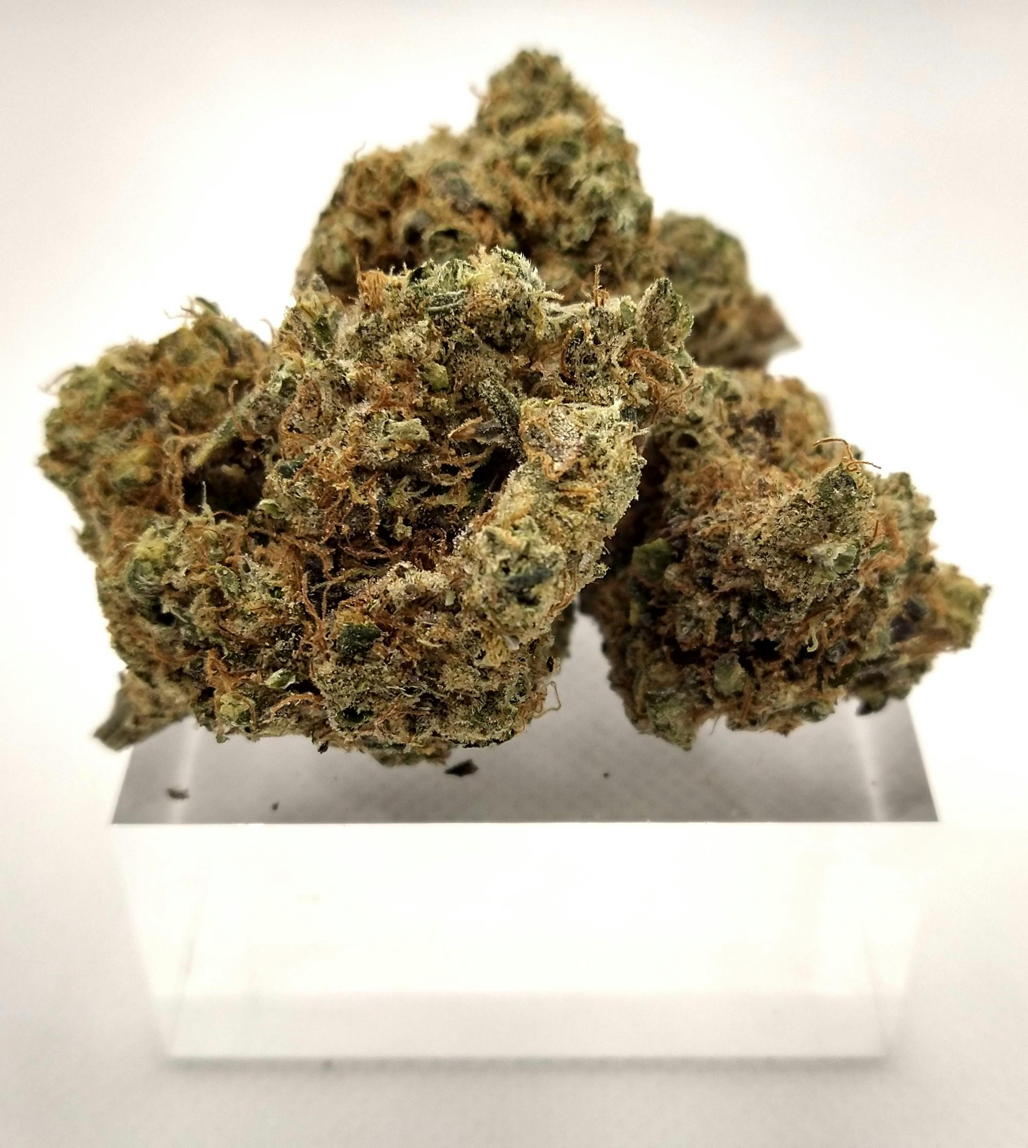 Good Nature | Grape Chem Soda | Hybrid | Bulk Flower | Bees Knees