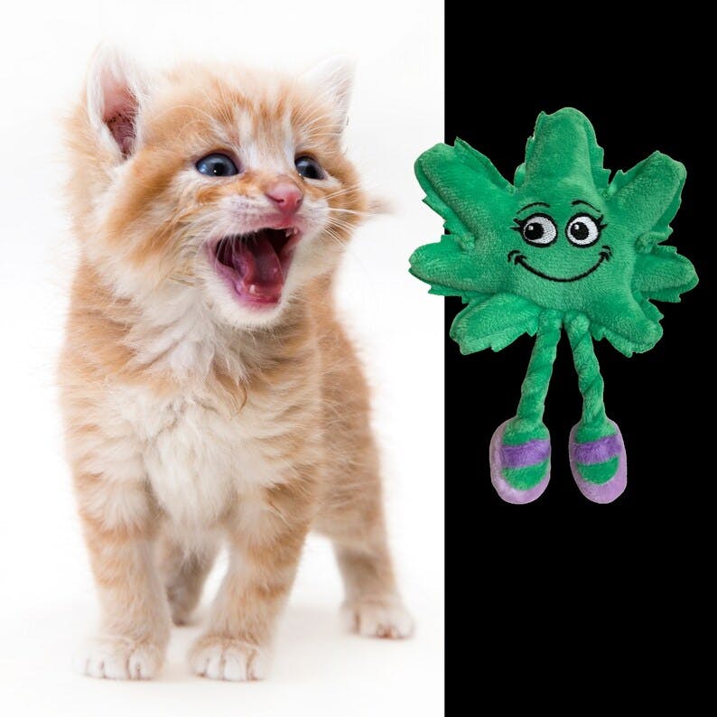 PAW:20 | Cat Toy | Lil' Mary Jane the Marijuana Leaf