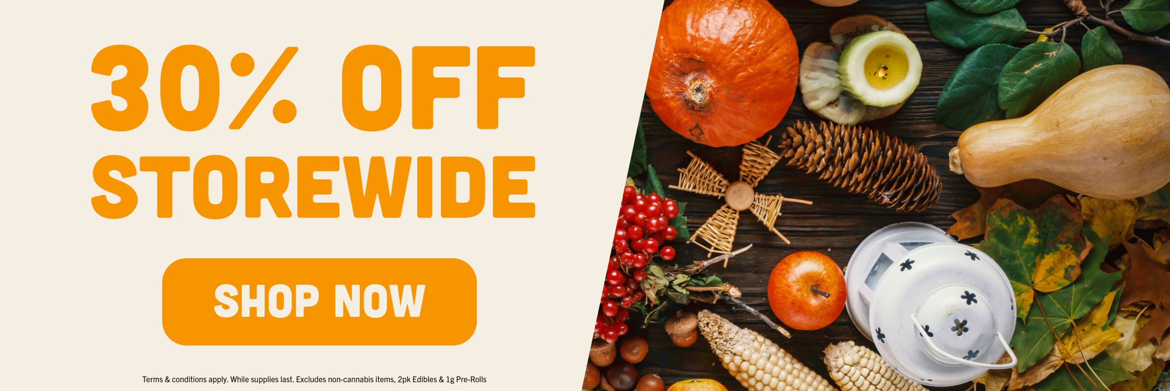 30% OFF STOREWIDE SALE