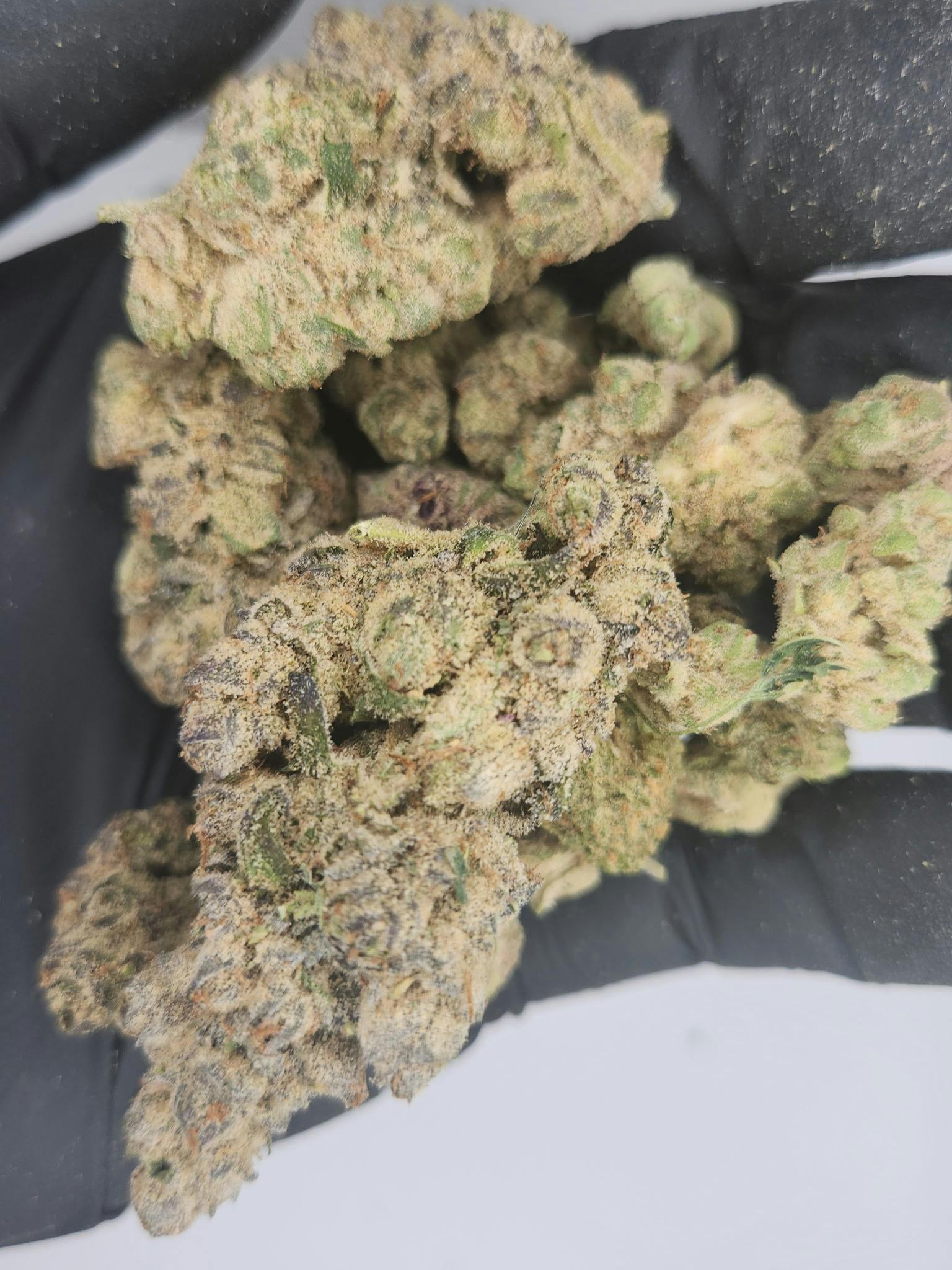 Product: Nura | Bulk Bud - Stuffed Cherry Gelato