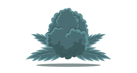 Flower category image