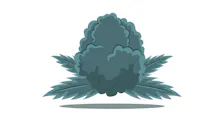 Flower category image