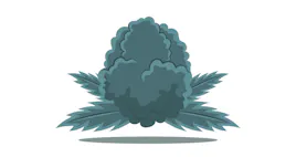 Flower category image
