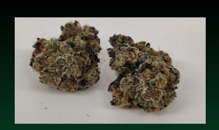 Product Good Life Buds