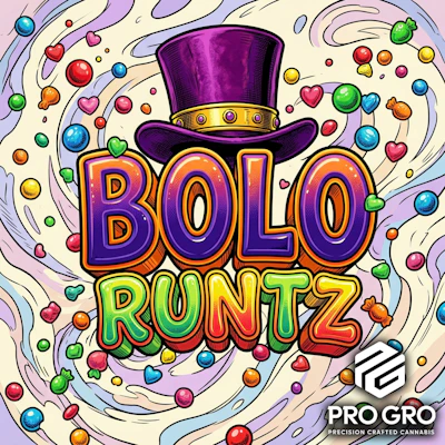 DELI - Pro Gro - Bolo Runtz - FLOWER by BAMN at King of Budz