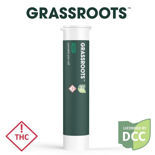 Grassroots - The Forest