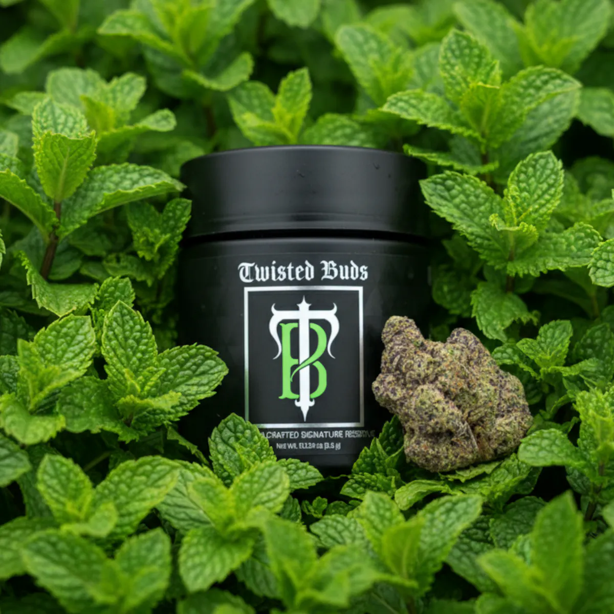 Gush Mints 1/8oz Flower | Twisted Buds