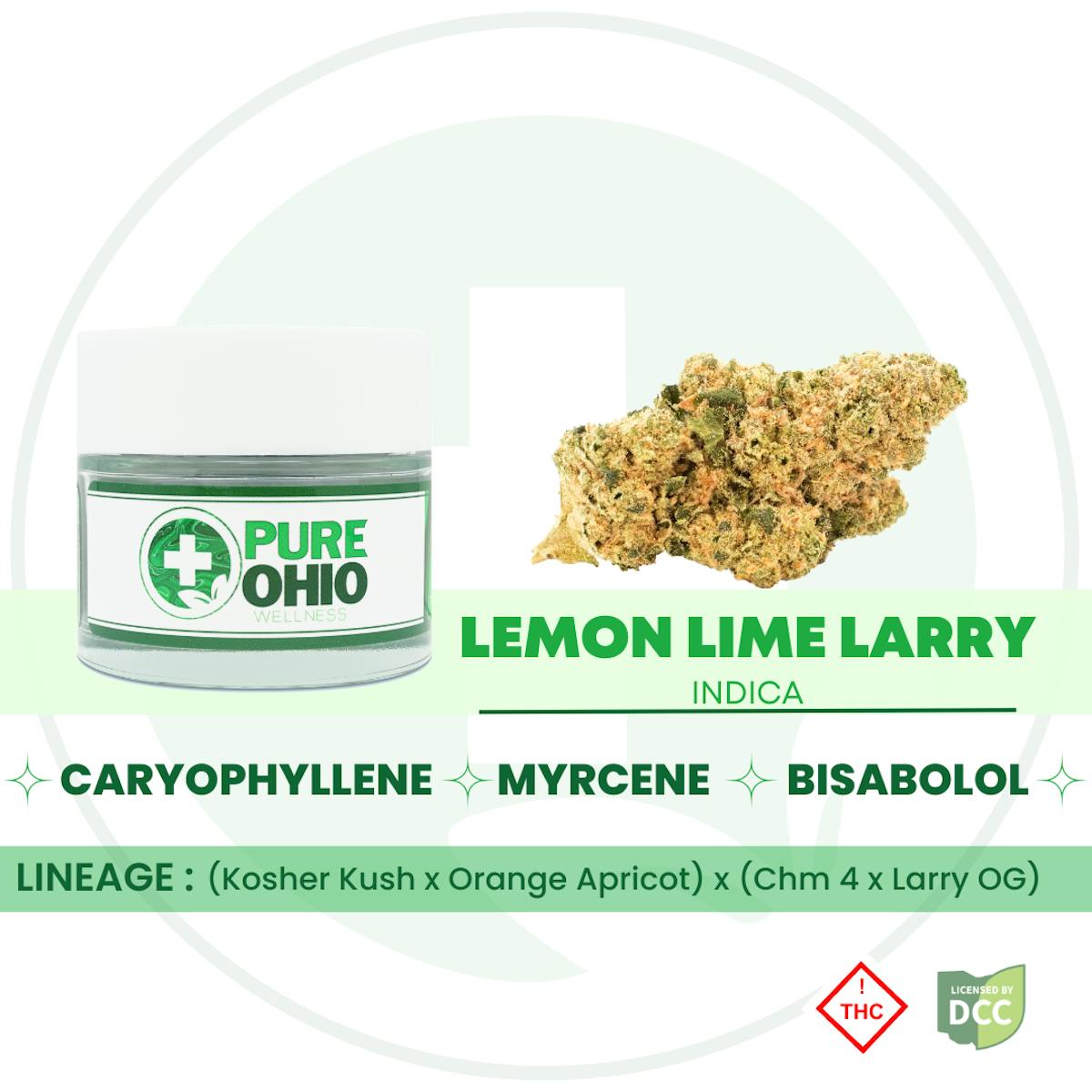 Lemon Lime Larry 2.83g Flower | Pure Ohio Wellness |