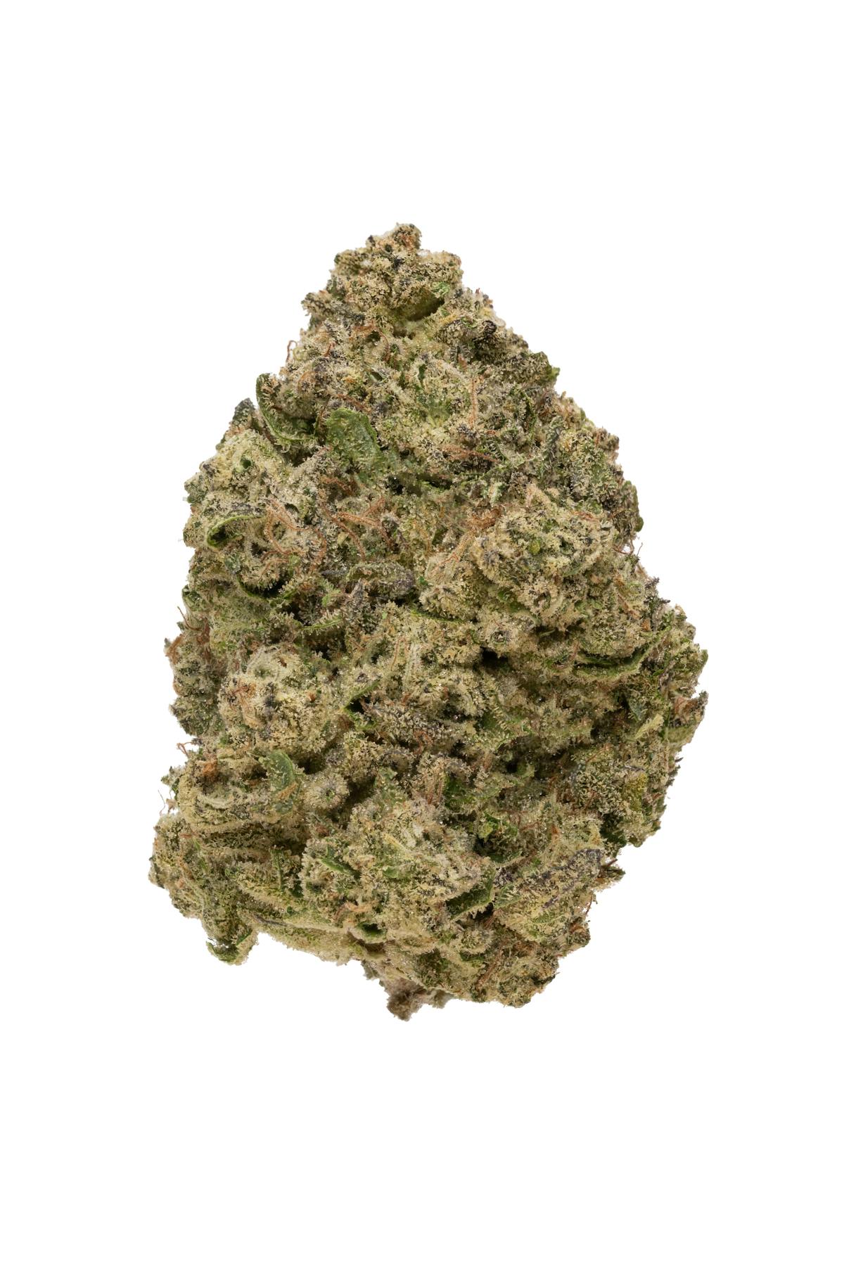 Photo of Biscotti 41