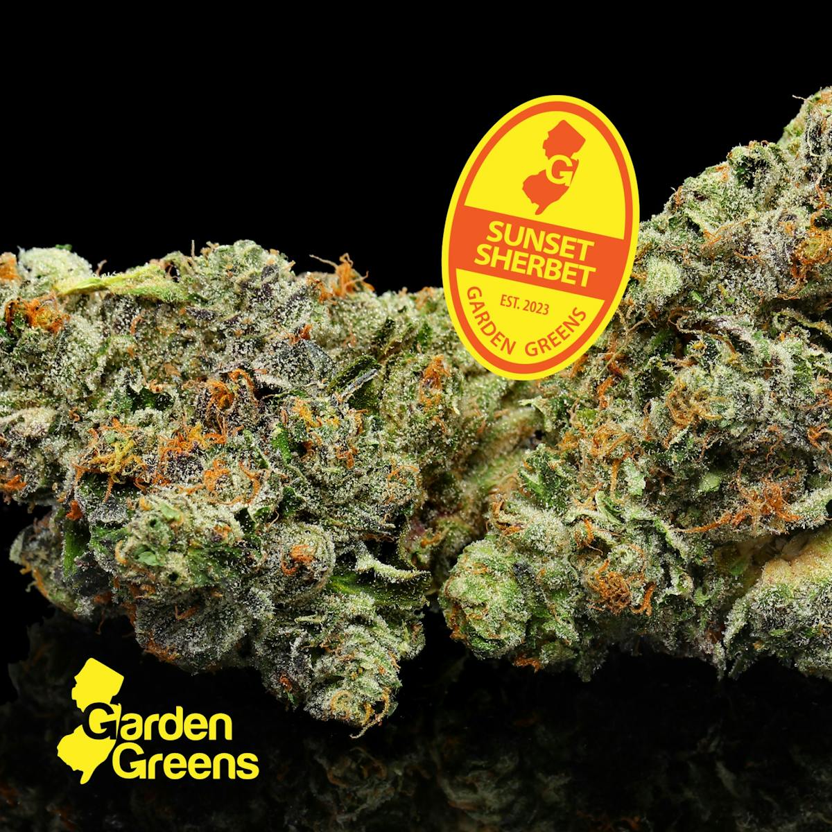 Photo of Garden Greens Sunset Sherbert 3.5g