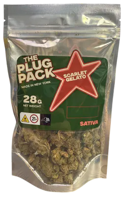 Live Resin Infused Jack Herer - PreRoll 10 Pack (3.5g) - Planet Nugg