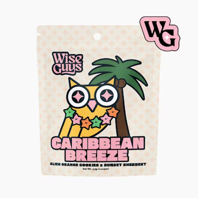 Wise Guys - 3.5g Prepacked - Caribbean Breeze