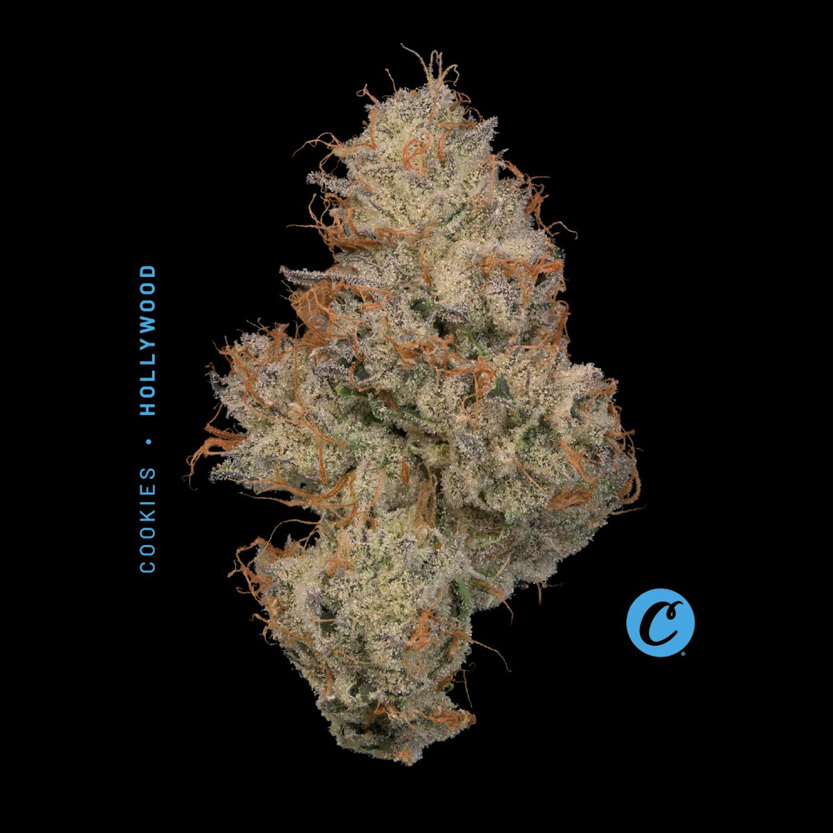 Photo of | Hollywood |