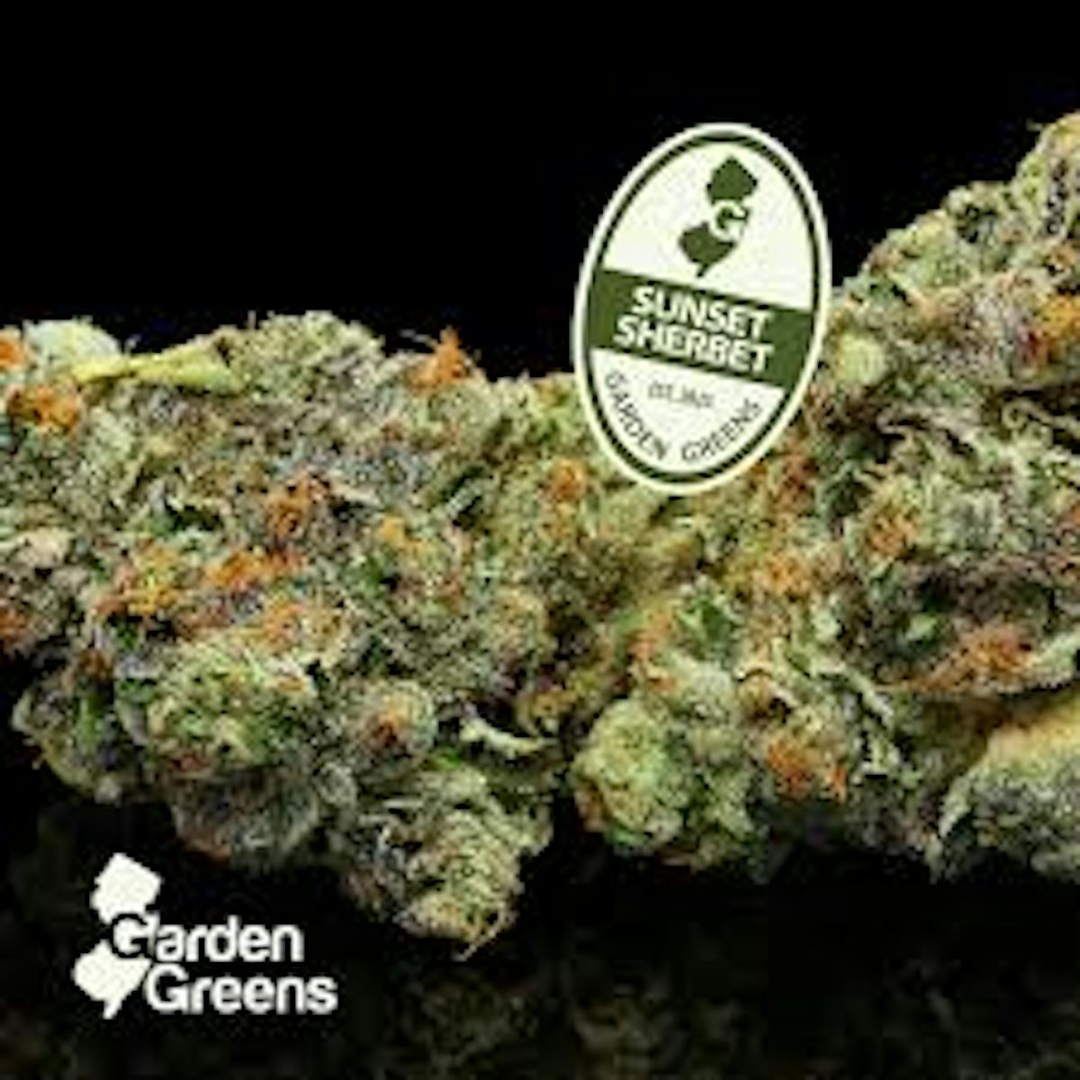 Photo of Garden Greens l Sunset Sherbert l 3.5g