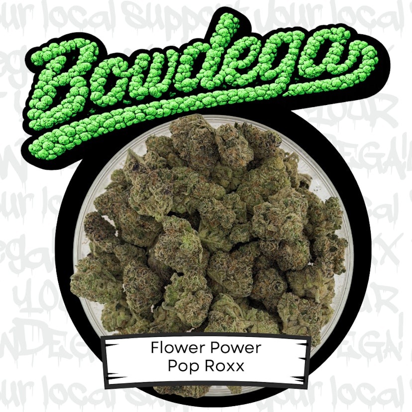Flower Power | Pop Roxx
