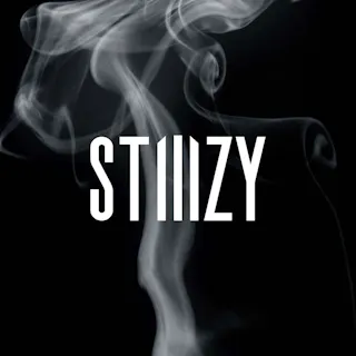 STIIIZY logo