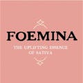 Foemina: Orange Creamsicle - PR 2pk