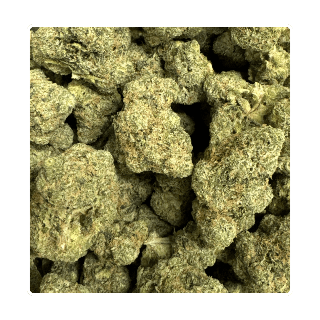 Product Image Alt