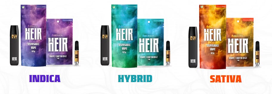 Warlock Water Spellin' Disposable | Theory Wellness (Sherwood)
