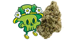 Flower category image