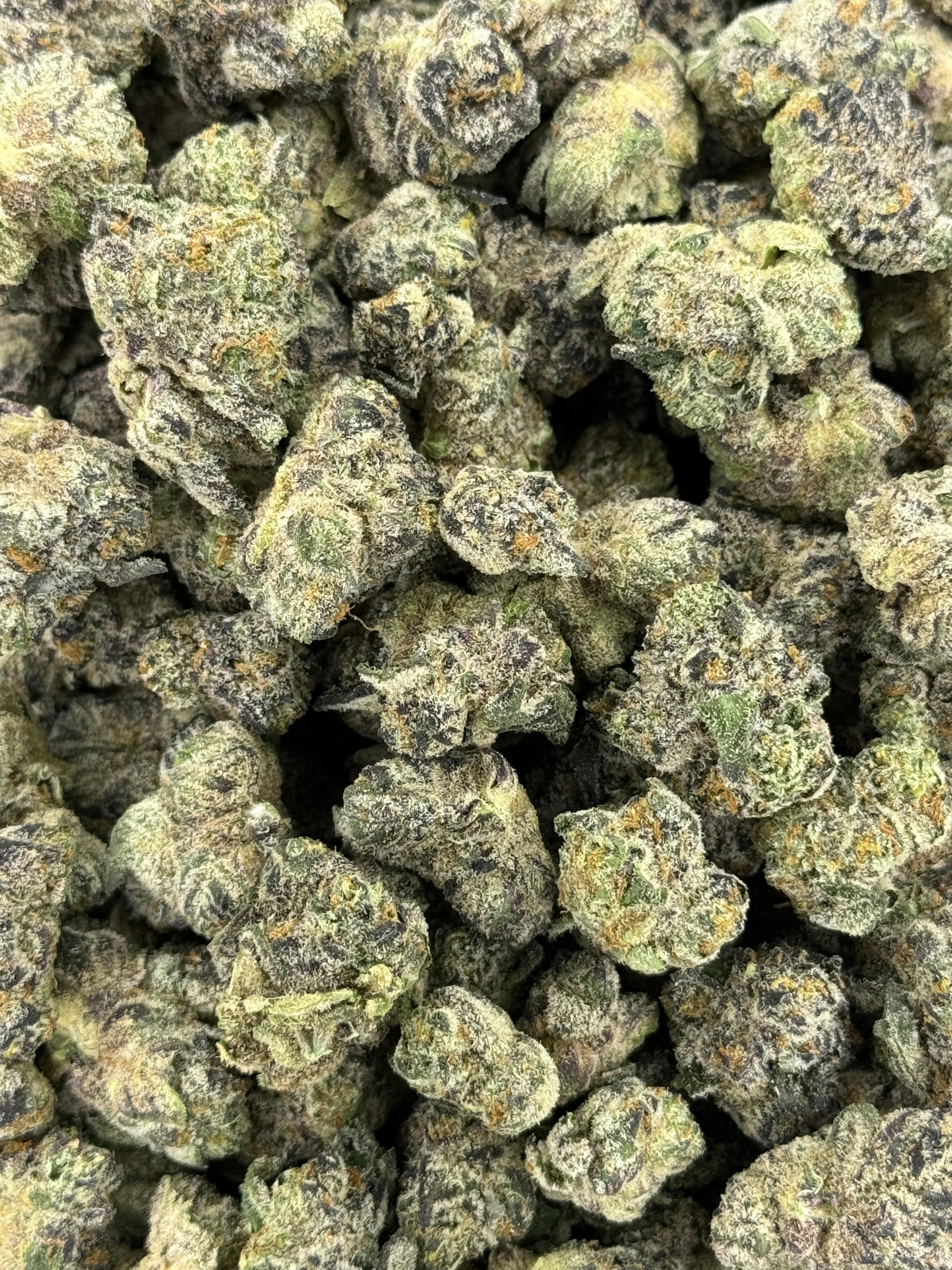 Pro Gro | High Octane | Deli Flower (Platinum)