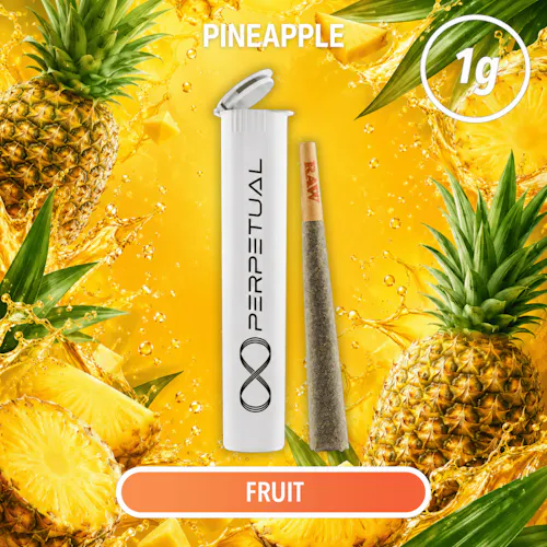 Pineapple (H) – Infused Pre-Roll (1g) – Perpetual-1