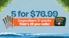5 for $76.99 - Dogwalkers Pre-roll 5-Packs