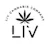 dispensary logo