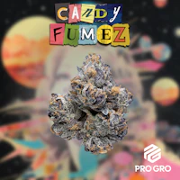 Candy Fumez 1g Pre-Roll - product image at King of Budz