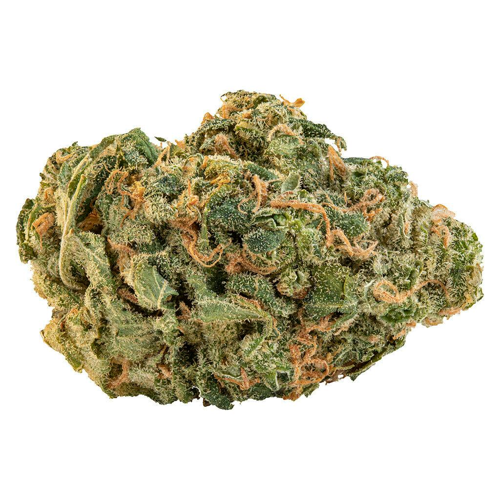 【やま】ダーバン エイリアン GMO サワーアムネシア 計20ml The Hunny Pot Cannabis Co (3476 Glen Erin Dr, Mississauga)