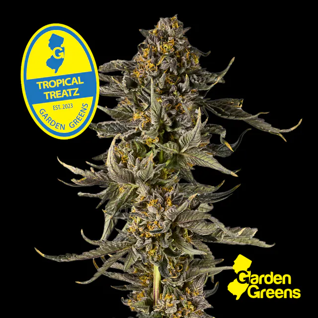 Garden Greens Big Buds Tropical Treatz 7g (sativa hybrid, flower)