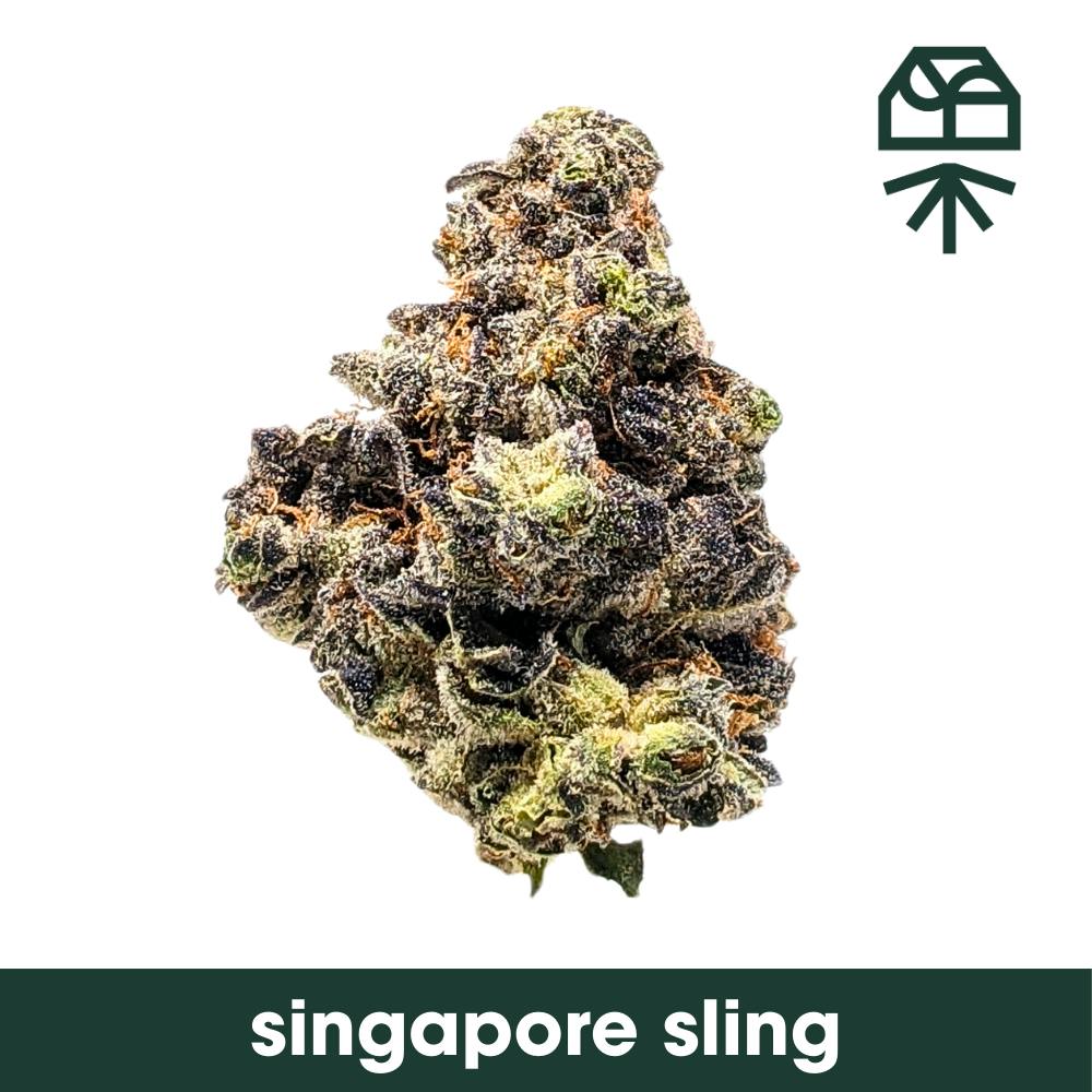 Singapore Sling Whole Flower 3.5g (T2) | Curaleaf (MD) - Columbia