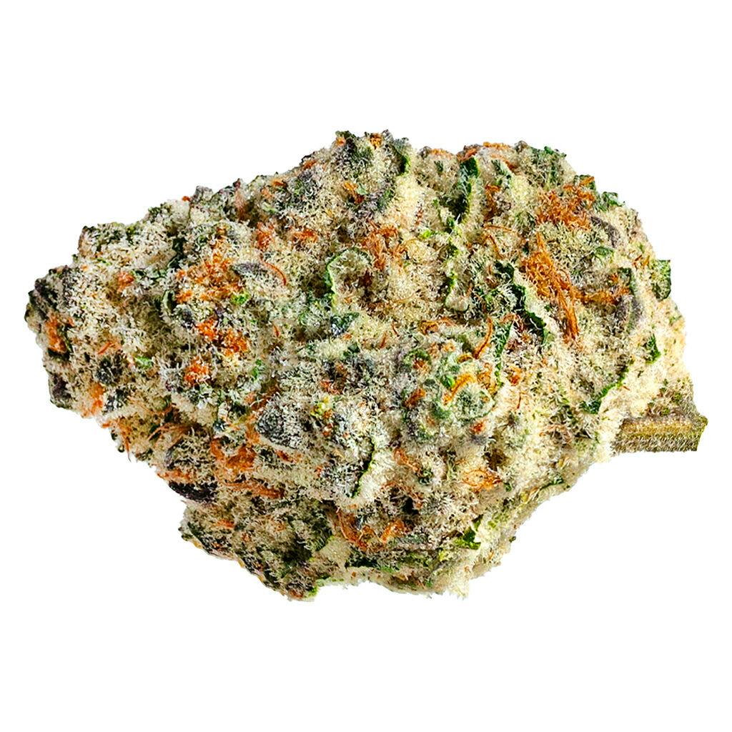FX（ストナーズエフエックス） Stoners REEF TINY / Weed