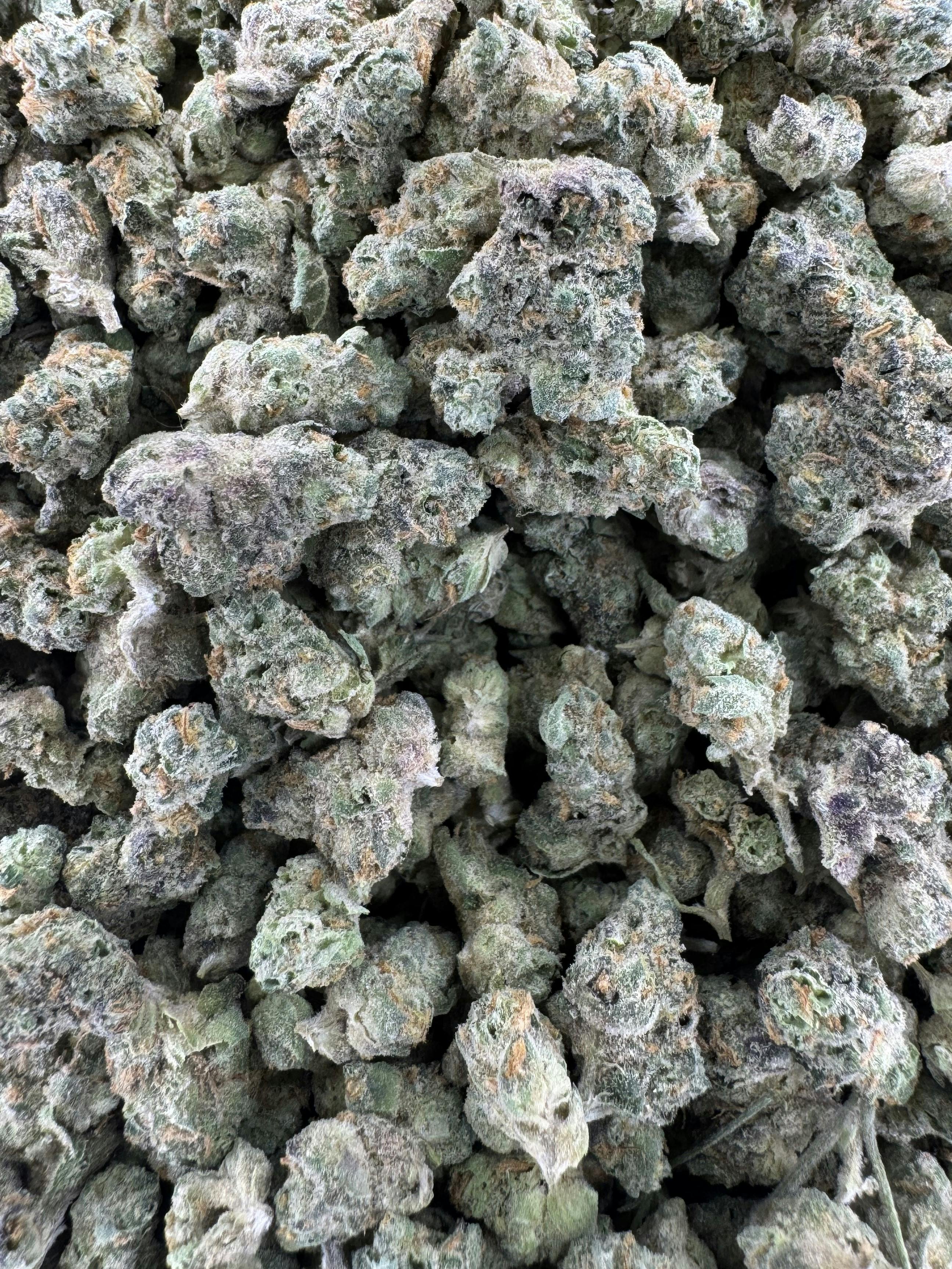 Cookies | Gary Payton | Deli Flower (Smalls)