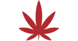 Flower category image