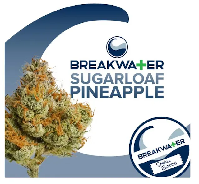 Breakwater Flower Sugarloaf Pineapple 7g (hybrid)