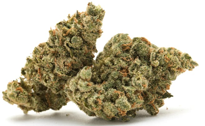 Platinum Shelf – Quicksand (I) 1g Flower | Cherry |