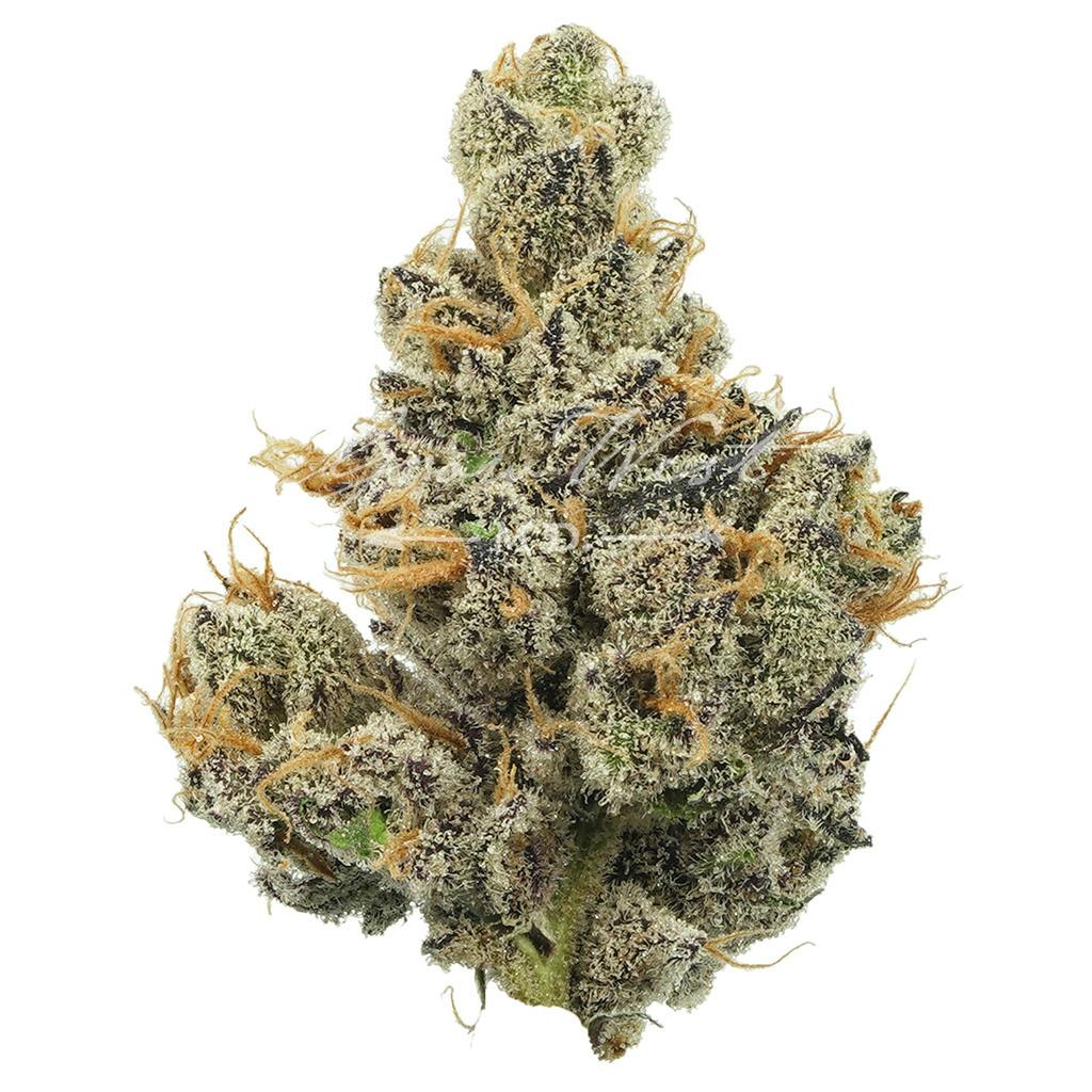 Strawguava 3.5g - Wildflower (Pre-Pack) - Remedy Maryland