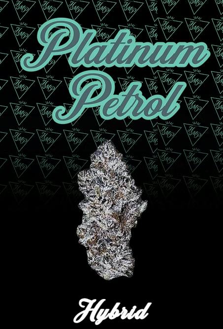 Product Platinum Petrol Buds