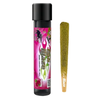 Raspberry Tarantula | 1g - product image at King of Budz