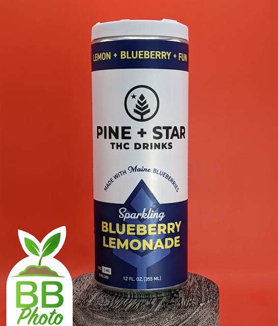 Blueberry Lemonade Sparkling Drink (H) - 5mg - Pine & Star - Image 1