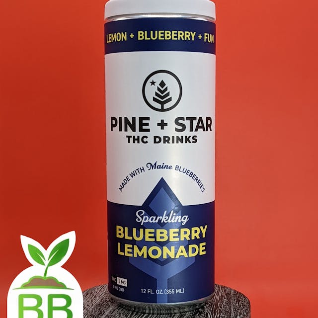 Blueberry Lemonade Sparkling Drink (H) - 5mg - Pine & Star - Image 1