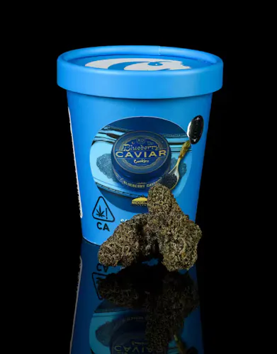Cookies – Blueberry Caviar – Mixed Light – Flower Tub-active