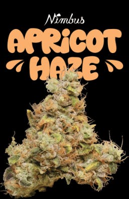 Product Apricot Haze Buds