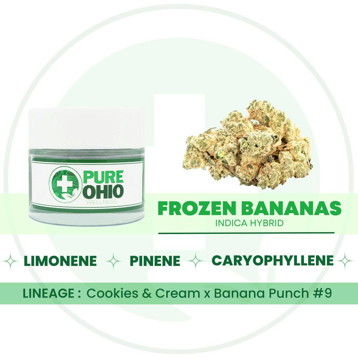 Frozen Bananas 2.83g Flower | Pure Ohio Wellness |