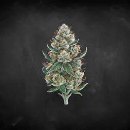 Flower category image