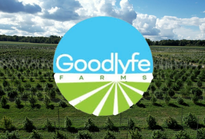 GoodLyfe - Apple Fritter