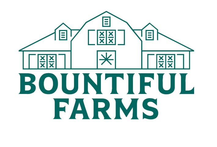 Product: Bountiful Farms | Gellie Donut | RSO Syringe - 1000mg