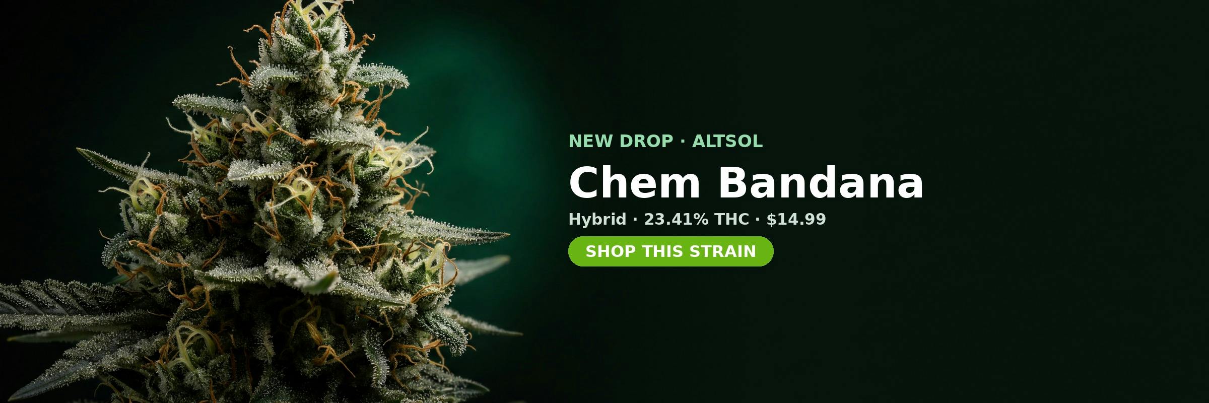 Chem Bandana now in stock at MrGreen DC — 23.41% THC