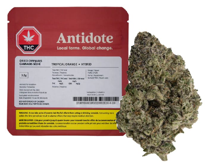 Kootenay Cannabis (Kingsway - Vancouver)